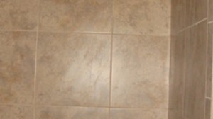 Read more about the article Quality Tile